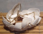 clam shell belt rattle